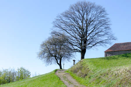 The hiking path of the Gods road or "The Way of the Gods" an ancient way in the Apennines mountains in Italyの写真素材