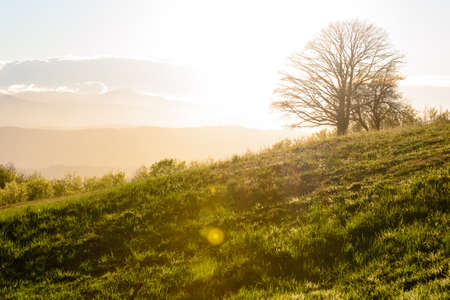 Apennines mountain landscape seen from theの写真素材