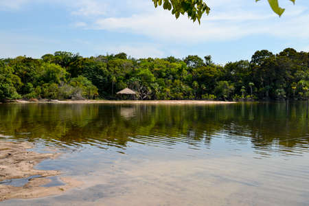 Water landscape in the Amazonian rain forest, north of Brazil