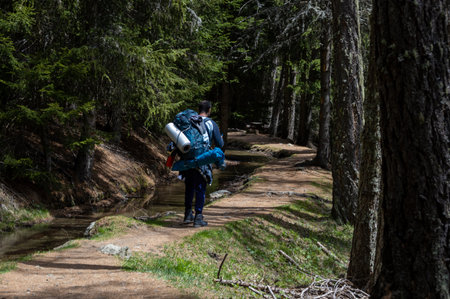 Hiking in the shade of the trees along the Ru Courtaud a wonderful route in Valle D'Aosta at the...