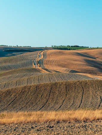 Wavy hills in Tuscan farmlandの写真素材