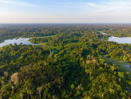 Aerial view of IgapÃ³, the Amazon rainforest in Brazil, an incredible green landscape with lots of...
