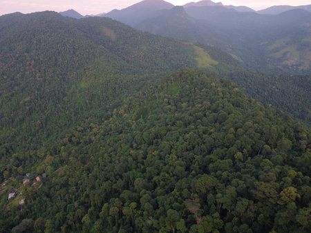 Sunset drone video over Paraty, Brazil, reveals lush Atlantic Forest, golden skies, and small islands scattered along the glowing coastline.の写真素材