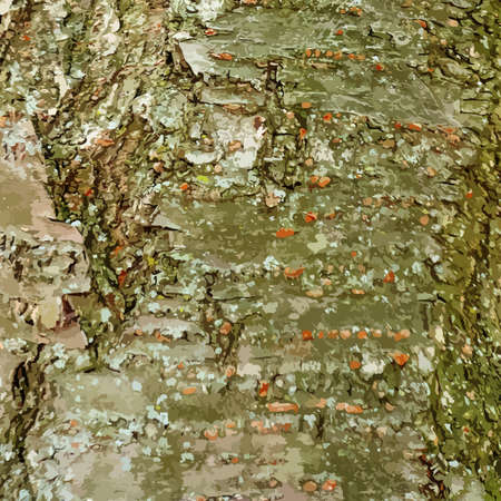 Tree bark background with a lot of details vectorのイラスト素材