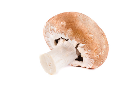 One champignon mashroom isolated on white background.の写真素材