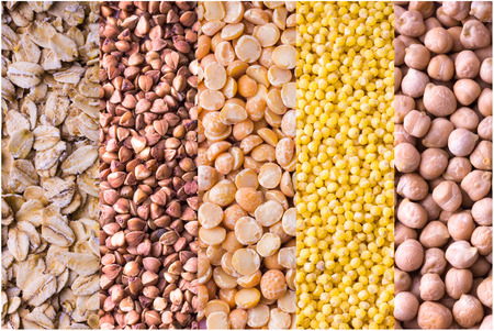 Collage of different crops. Grain crops are the basis of life for both humans and animals.の写真素材