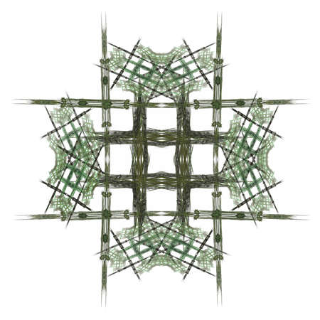 Abstract fractal with a dark green pattern on a white backgroundの写真素材