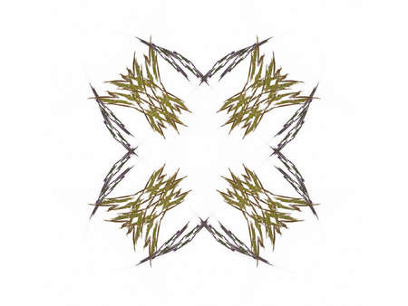 Abstract fractal with a dark green pattern on a white backgroundの写真素材