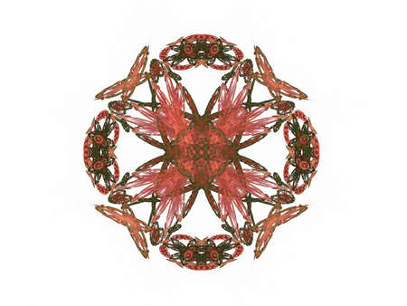 Abstract fractal red green pattern on a white background