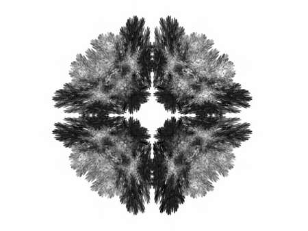 Abstract fractal with gray pattern on white backgroundの写真素材