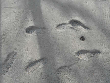 Traces of human feet in shoes in a frozen cement.の写真素材
