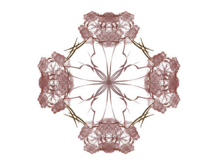 Abstract fractal with a brown pattern on a white backgroundの写真素材