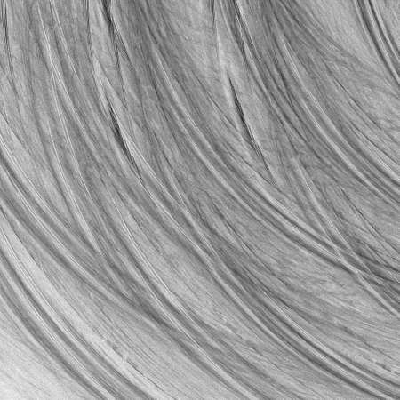 Abstract grunge black texture pattern on white background. Rough noise square design.の写真素材