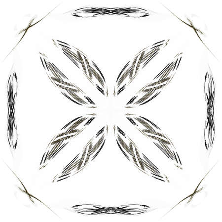 Abstract brown floral pattern isolated on white background.の写真素材