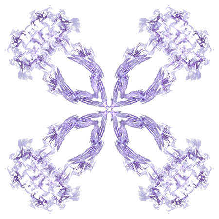 Abstract purple floral pattern isolated on white background.の写真素材