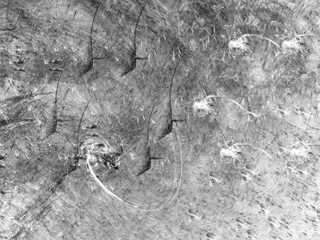 Grunge abstract black white background on white backdrop. Two colors. Rectangular horizontal shape....