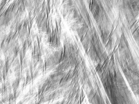 Grunge abstract black white background on white backdrop. Two colors. Rectangular horizontal shape....
