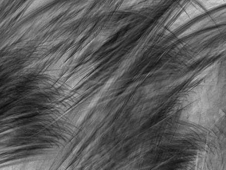 Grunge abstract black white background on white backdrop. Two colors. Rectangular horizontal shape. Average rough noise design.の写真素材