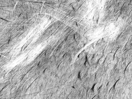 Grunge abstract black background on white backdrop. Two colors. Rectangular horizontal medium rough...