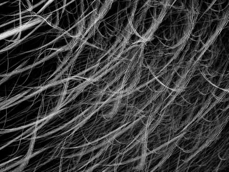 Grunge abstract white background on black backdrop. Two colors. Rectangular horizontal shape. Medium rough noise design. Haotical texture pattern.の写真素材