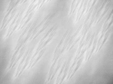 Grunge abstract white background on black backdrop. Two colors. Rectangular horizontal shape. Medium rough noise design. Haotical texture pattern.の写真素材