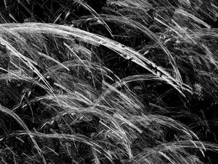 Grunge abstract white background on black backdrop. Two colors. Rectangular horizontal shape. Medium rough noise design. Haotical texture pattern.の写真素材