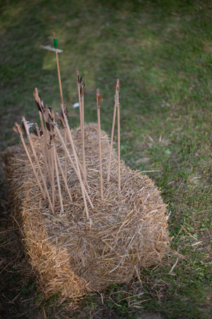 Arrows are stuck in a bale of hay on a grassy field. The scene conveys archery and target practice,...