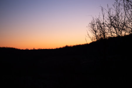 A stunning silhouette of bare tree branches and a dark tree line against a gradient sunset of orange and purple hues.の写真素材