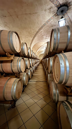 Wine barrels in a magnificent vaulted wine cellar. Italian wine from Lake Garda, Italy, Europe.
