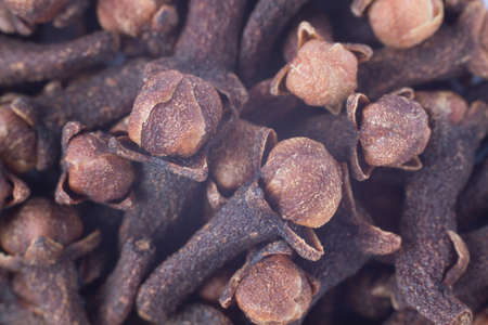 Clove macroの写真素材