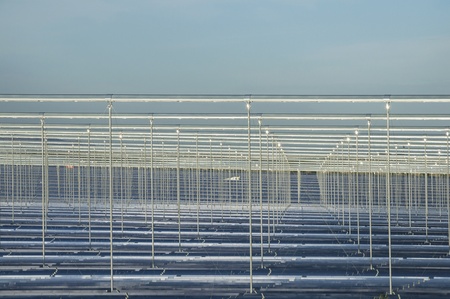 Solar boilers based on unique Fresnel collector technology