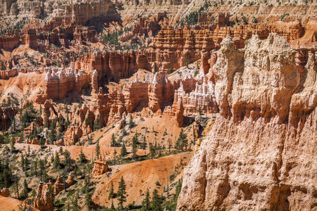 Amazing hoodoos in Bryce Canyon National Park in Utah, USAの写真素材