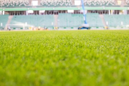 Green grass at modern stadium during sunny day.の写真素材