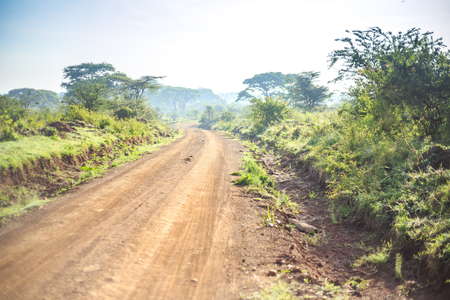 African landscape - dirt road through savanna, Kenya, East Africaの写真素材