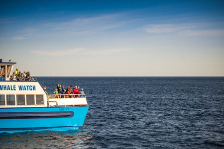 Witless Bay, Canada - July 6, 2017: Tourists on the boat waiting for whales in Newfoundlandのeditorial素材