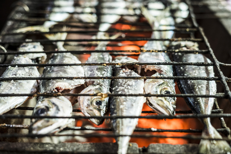 Plenty of mackerels and sardines grilled on charcoal on the barbeque in the restaurantの写真素材