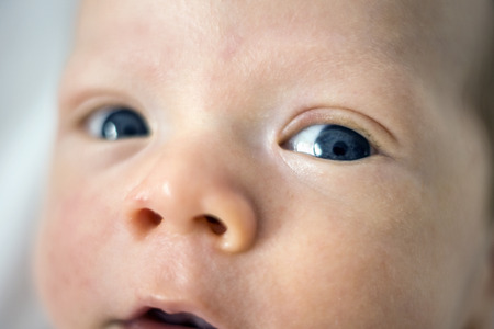 Close up of left blue eye of newborn baby boy