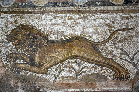 Ancient mosaic of lion in Paphos archaeological park, Cyprusの写真素材