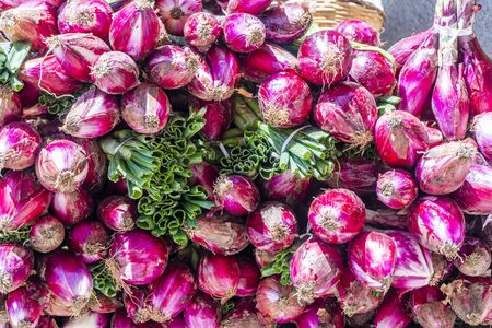 Red onion sold on Tropea's streets as specialty of the region, Calabria, Italyの写真素材