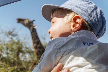 Baby boy enjoying safari with giraffe in Kruger National Park, South Africaの写真素材