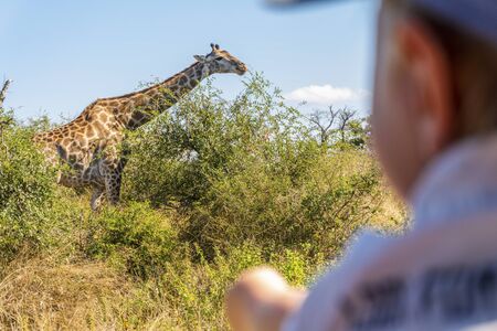 Baby boy enjoying safari with giraffe in Kruger National Park, South Africaの写真素材