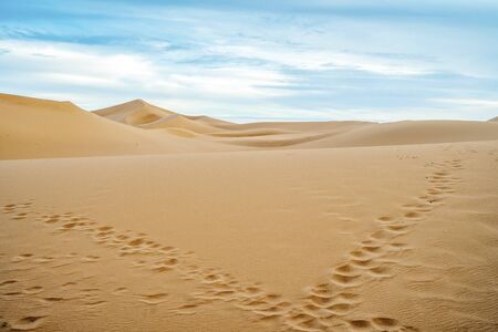 Footprints going left and right on sand dunes of Sahara Desert, Morocco, Africaの写真素材