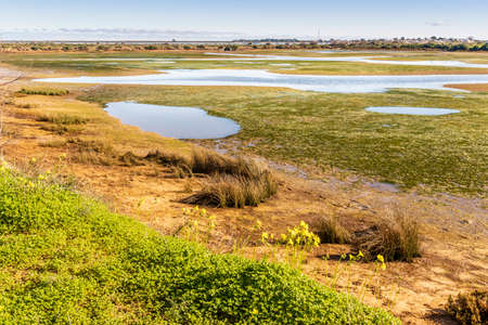 Beautiful landscape of Ria Formosa Natural Park, Olhao, Algarve, Portugalの写真素材