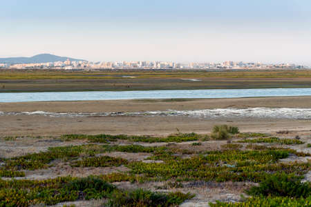 City of Faro seen from Faro Beach Peninsula with wetlands of Ria Formosa in between, Algarve, Portugalの写真素材