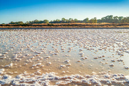 A pond full of salt after evaporation of ocean water at salines in Faro, Algarve, Portugalの写真素材