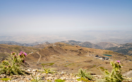 The landscape of Sierra Nevada National Park with purple flowers in the foreground, Andalusia, Spain