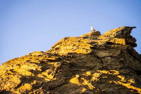 Beautiful landscape and seascape with rock formation in Samoqueira Beach, between Sines and Porto...