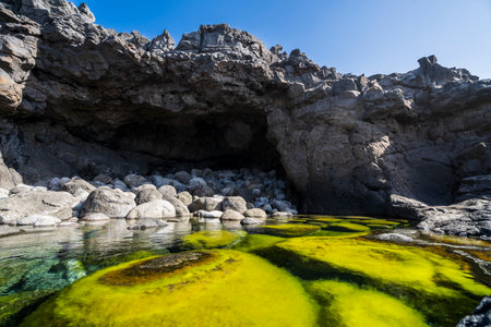 Natural pools Charcones with green algae in Lanzarote, Canary Islands, Spain