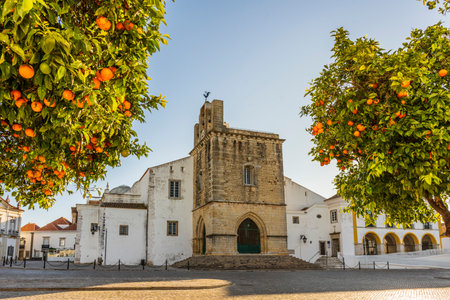 Downtown of Faro with Se Cathedral in the morning with orange tree in the foreground, Algarve,...