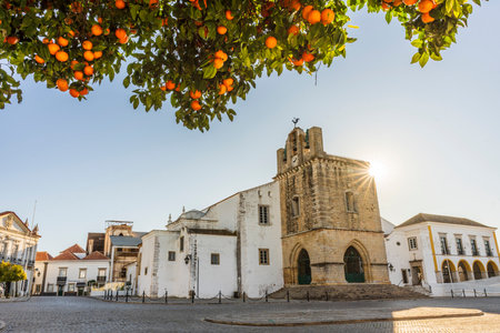 Downtown of Faro with Se Cathedral in the morning with orange tree in the foreground, Algarve,...